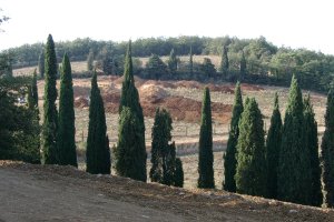 Parco Archeologico Diffuso