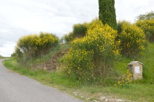 Zerstreuter Archäologischer Park