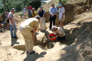 Der Eingetragene Verein 