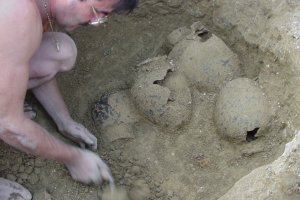 Der Eingetragene Verein 